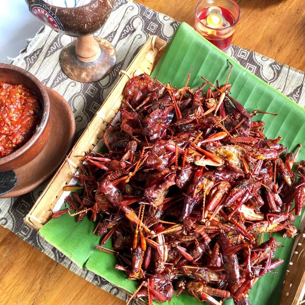 oleh oleh khas jogja